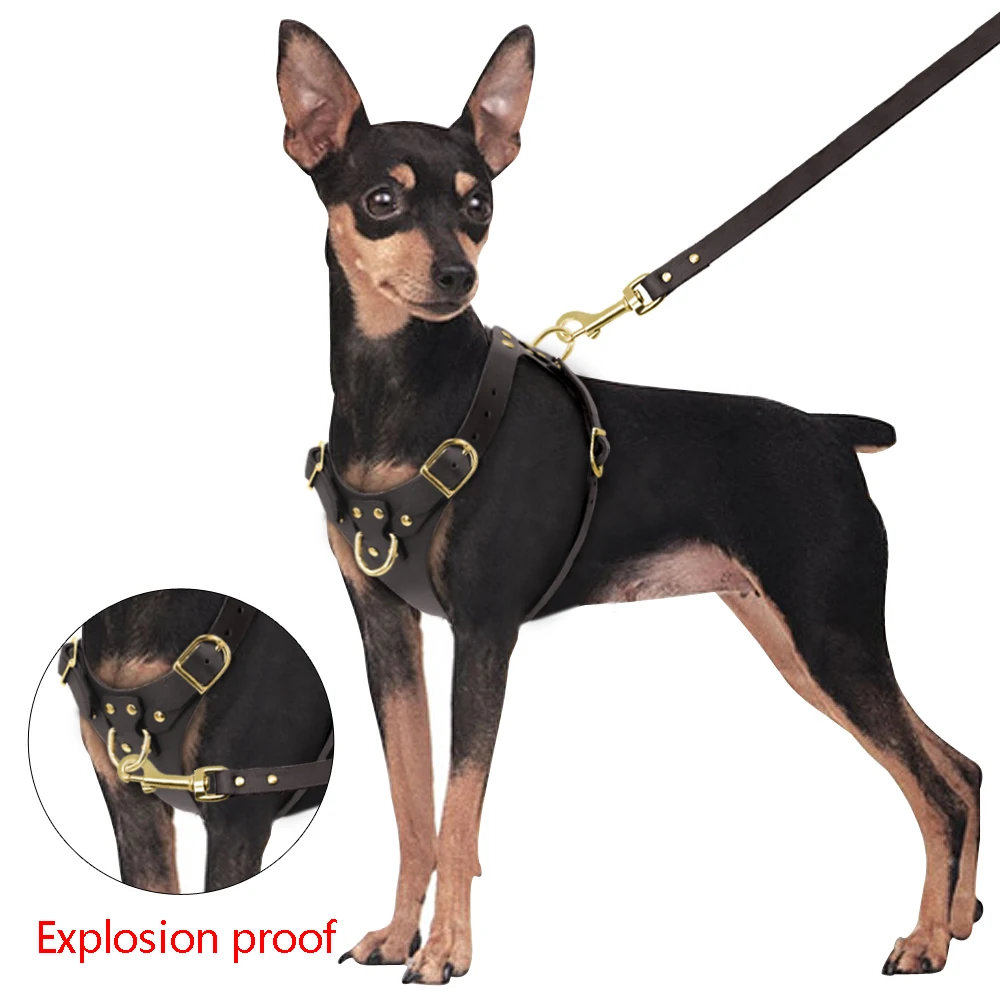 No Pull Harness Pitbulls And Parolees Harness Best Harness For