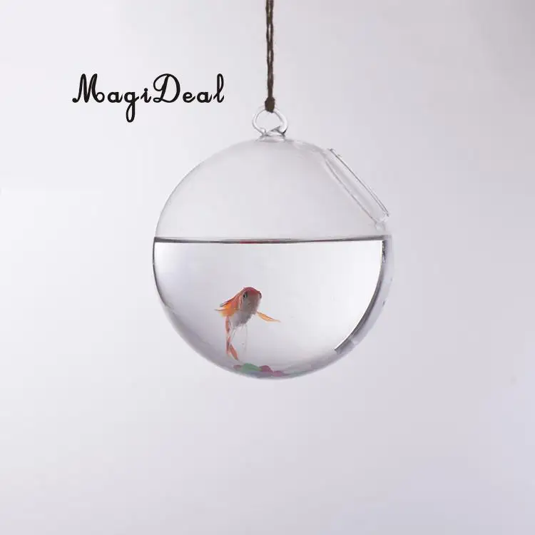 MagiDeal Heat-Resistant Glass Ball Shape Wall Hanging Flower Vase Plant Bottle Home Bedroom Living Room Decor 10cm Friend Gifts