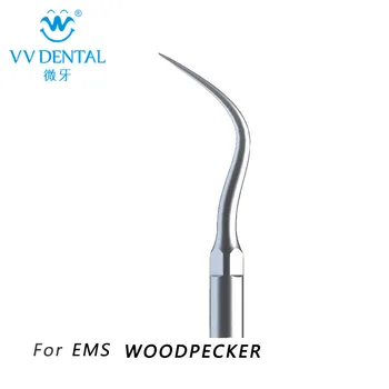 

Ultrasonic Dental Scaler Tips G4 Compatible With EMS/ WOODPECKER Teeth Whitening Dental Handpiece