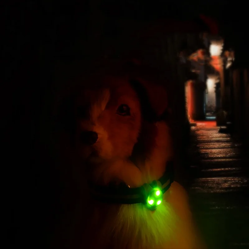 1 шт. резиновая собачий ошейник с красочными светодиодный свет аксессуары для домашних животных, с круглой горловиной, для собаки кошки, декор Тедди Чихуахуа ошейник
