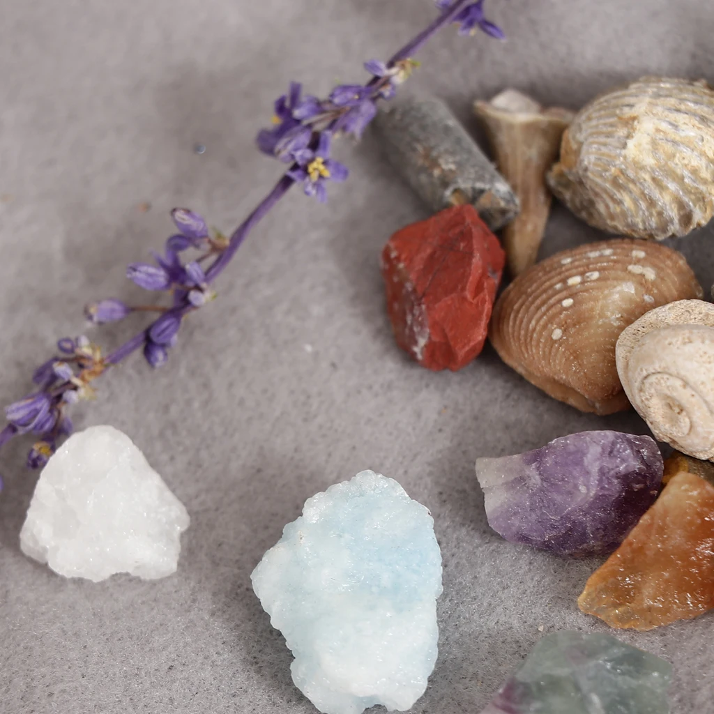 Rock & Mineral Collection GN201 Geology Science Kit Earth Science Toy - Pack Of 20