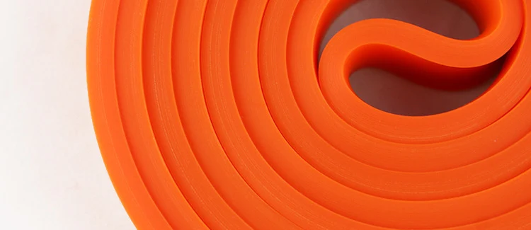 5318912795_564671597