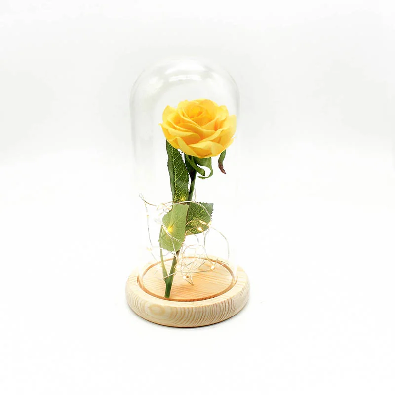 Искусственные цветы, шелк, пластик, роза, филиал в колбе, светодиодный светильник для бутылки розы, праздничные вечерние, Подарочная коробка, искусственные цветы, Meldel - Цвет: 5