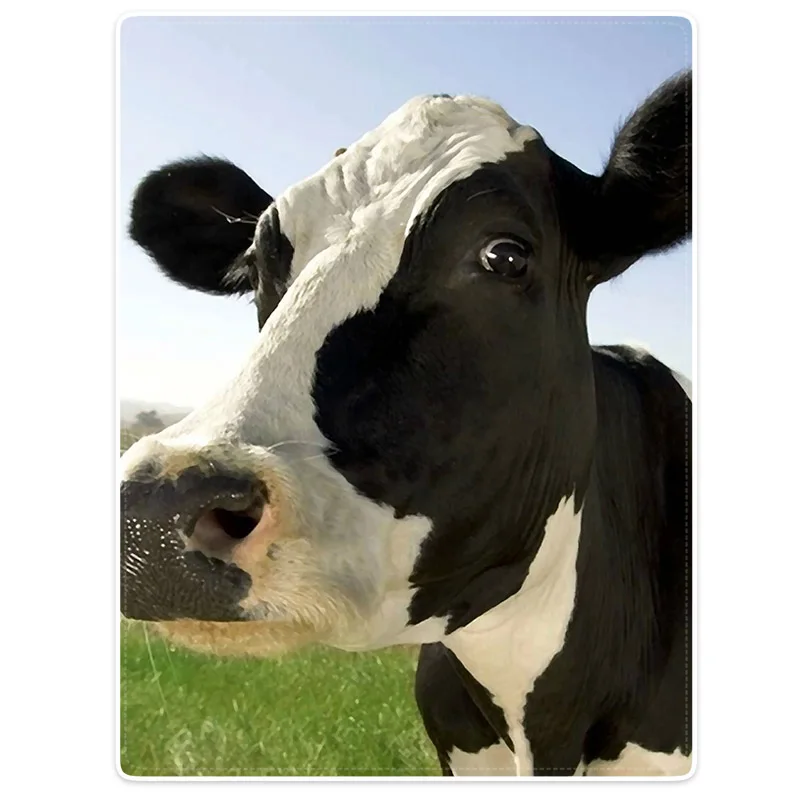 

Blanket Comfort Warmth Soft Cozy Air conditioning Easy Care Machine Wash Milk Cow Pasture