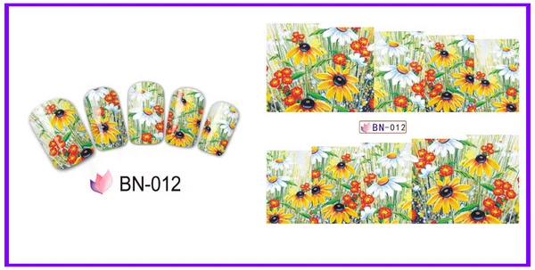 BN-012