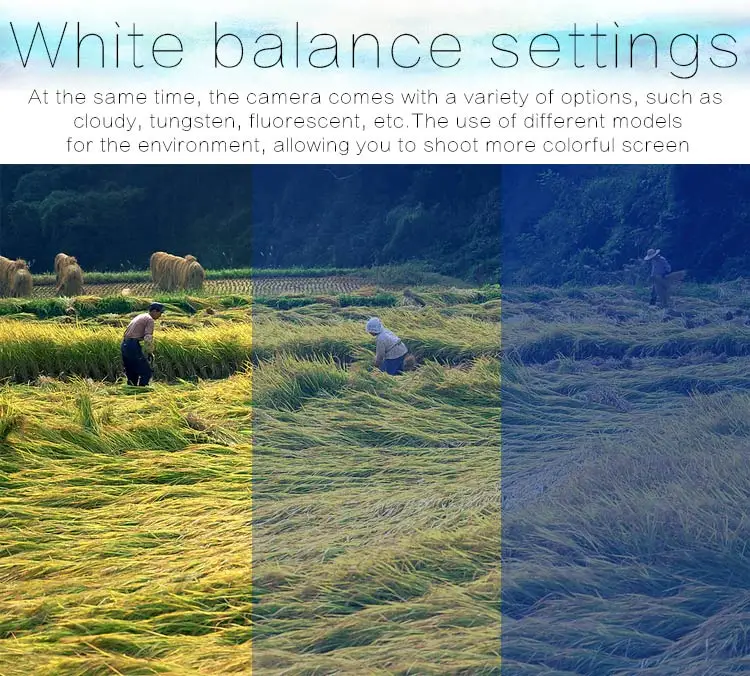 baipingheng_01