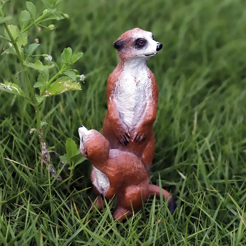 带仔獴