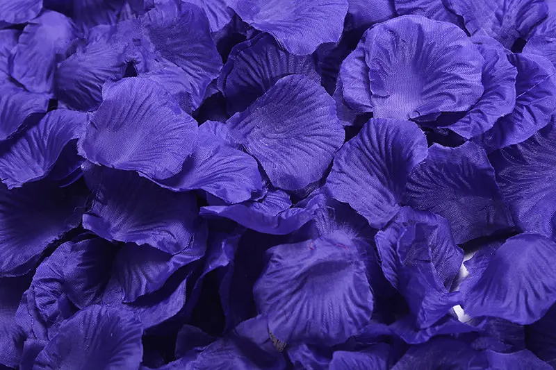 2382-18-10pcs-violet-