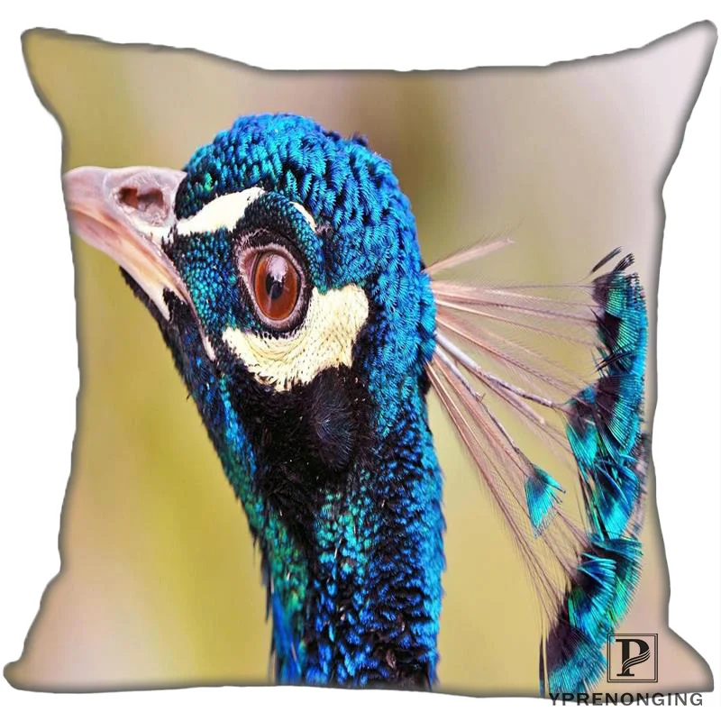 Best Custom indian_peacock(1) Наволочка на подушку, спальня домашний квадратный наволочка на молнии(одна сторона)#190404-01-61