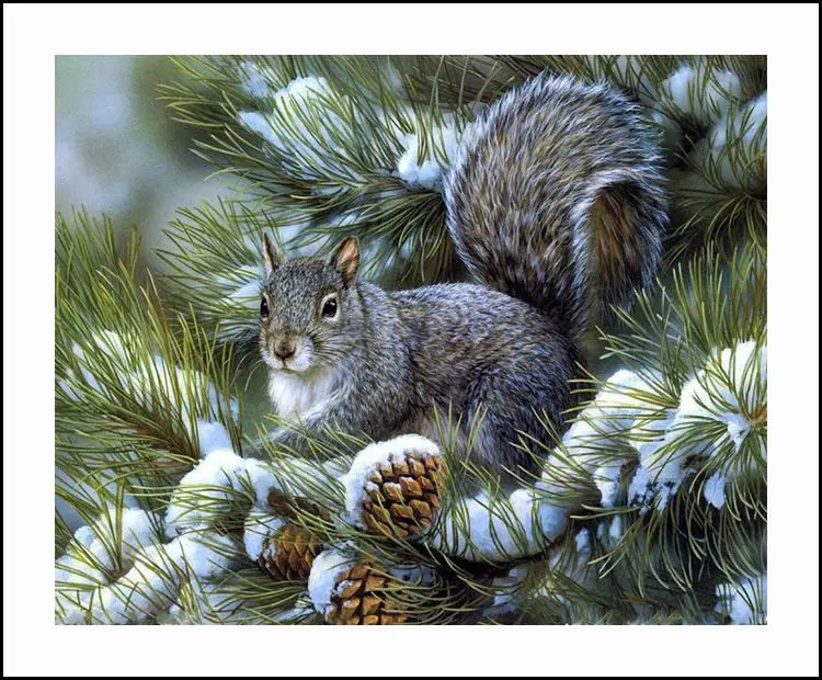 Squirrel on Pine Diamond Embroidery 5D Painting Cross Stitch Mosaic Pattern Square Rhinestone needlework gift Home Decor G118 | Дом и сад