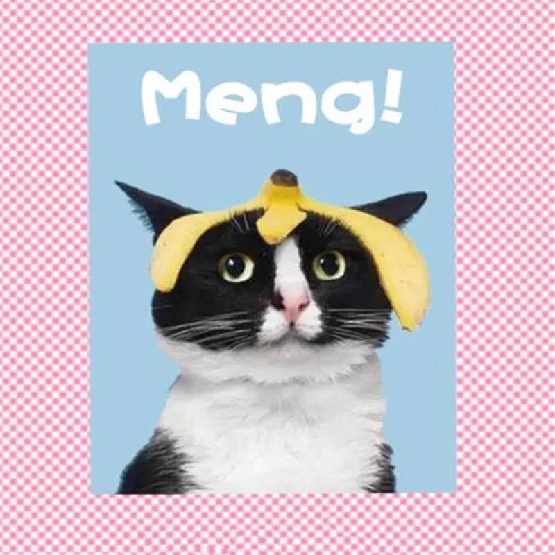 

ShinEquin Biker Patch deal with it Clothes Heat Transfer Printing Banana Peel Cat Iron on patches for clothing Fun 3D Stickers