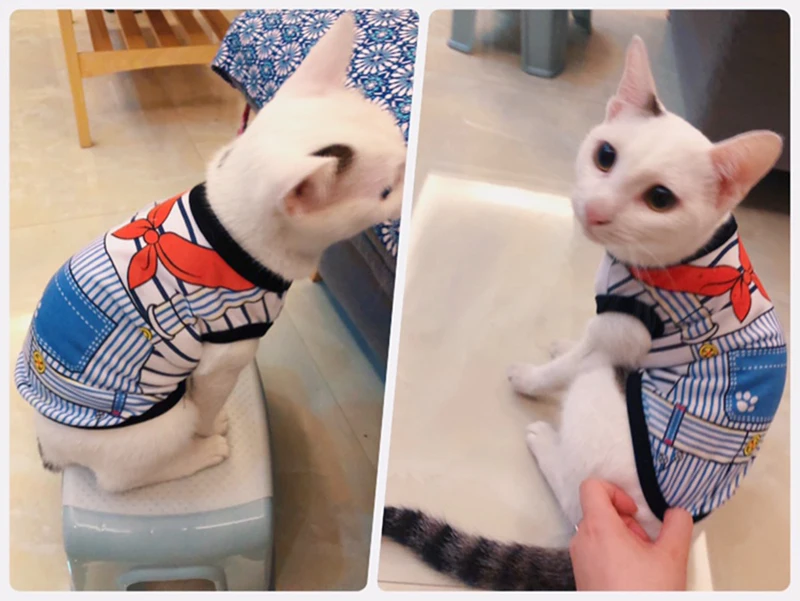 O1CN013deAcP1N6etPJGnhB_!!0-rate