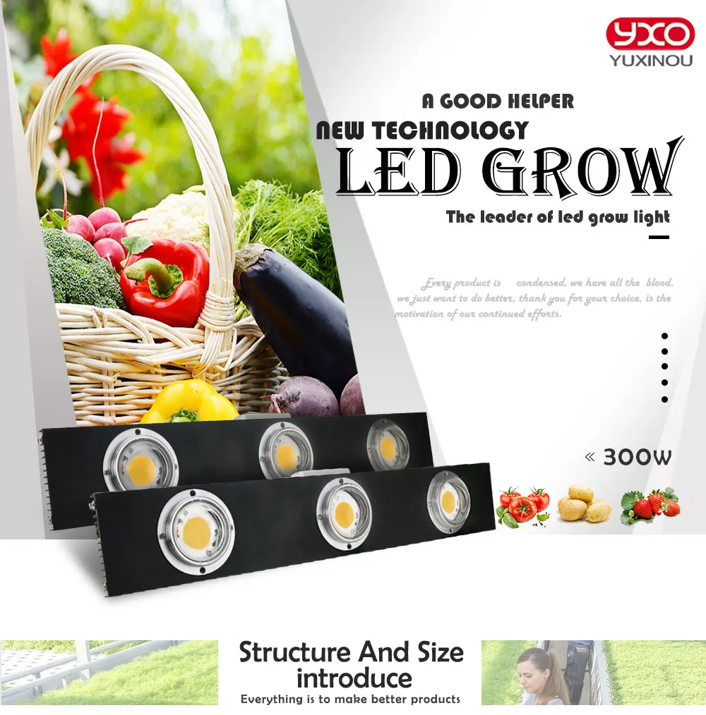 300W_01