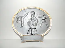 

Высококачественная искусственная тхэквондо