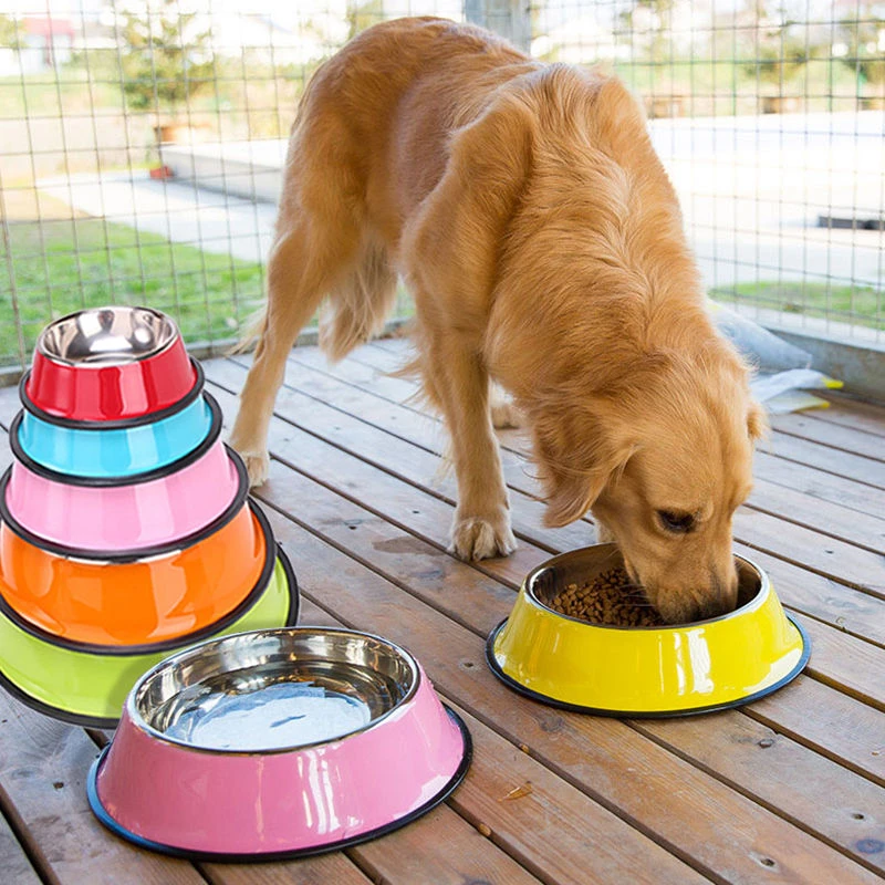 large dog feeding bowls