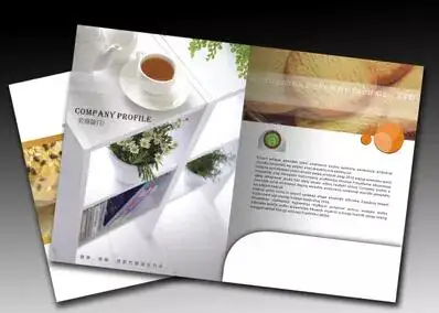 A4 file pocket presentation folder with custom printing and clips for business card | Канцтовары для офиса и дома