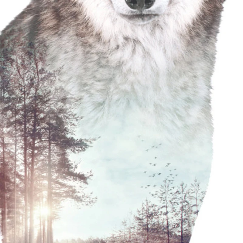 il_fullxfull.690904459_pv21