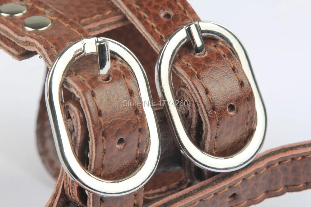 dog muzzle-15