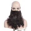 L-email wig Albus Dumbledore Cosplay Wigs Lucius Malfoy Rubeus Hagrid Bellatrix Lestrange Moive Halloween Wig Synthetic Hair ► Photo 2/6