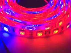 Водонепроницаемый 5050 Гибкие светодиодные полосы растут 4:1 красные, синие полный спектр парниковых гидропоники LED растениеводства лампы X 50
