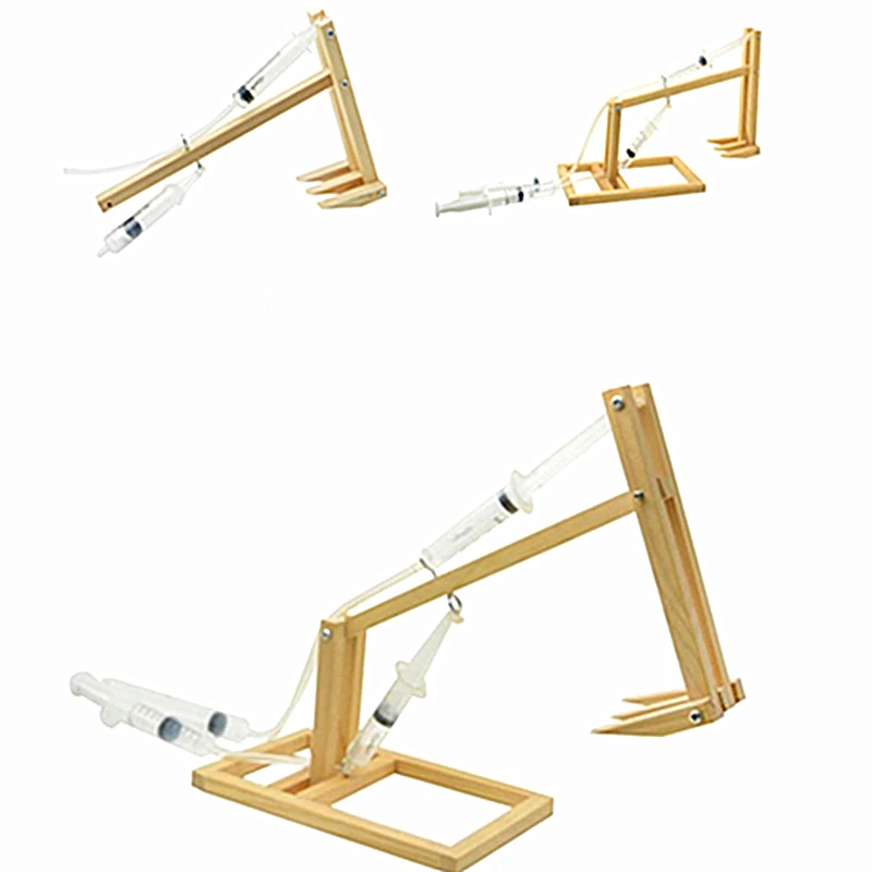 Wooden Science Education Piston Excavator Toy Model DIY assembly building model toy for children kids
