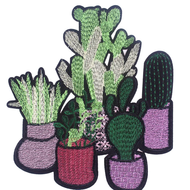 cactus patch (4)