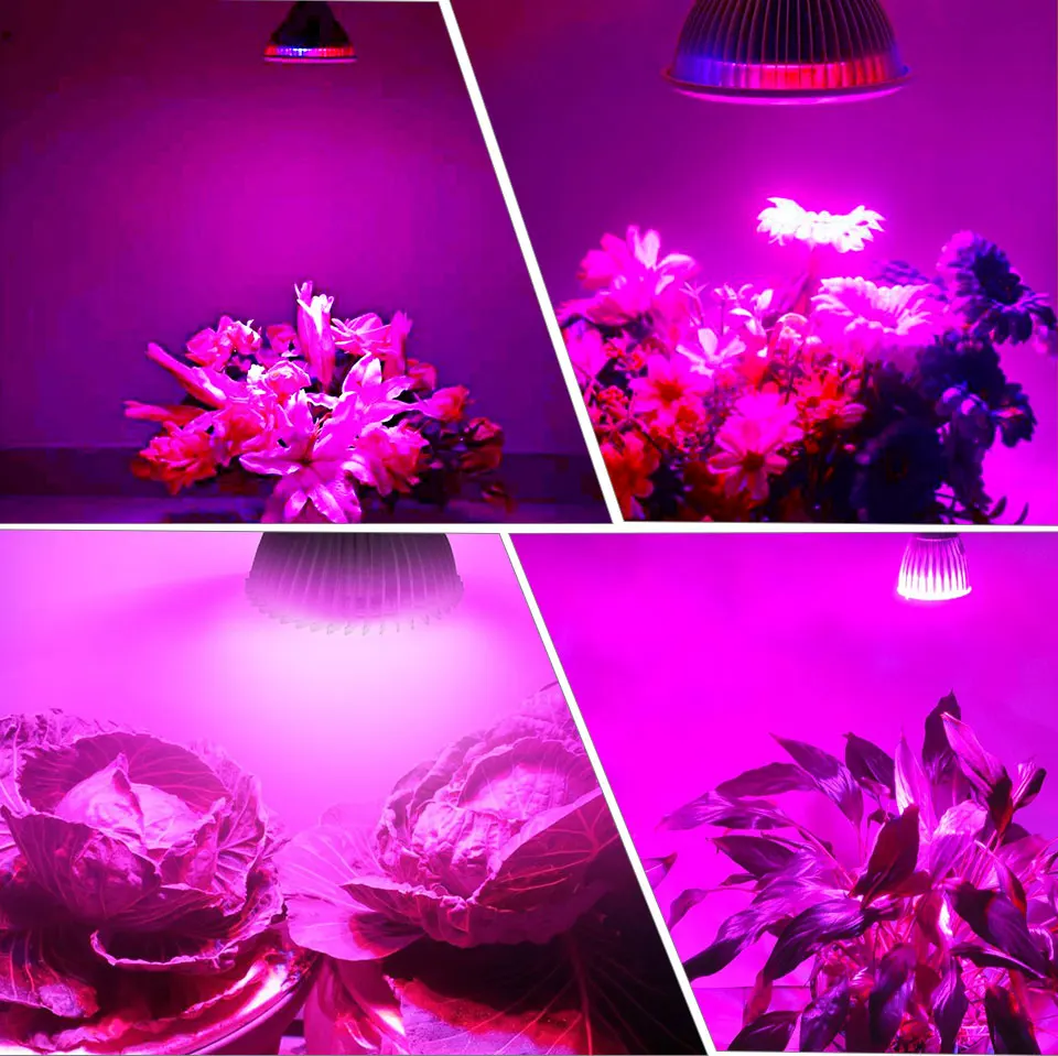 Plant Indoor Grow Lamp For Plants Flowers Seeds Hydroponics Lighting Garden Greenhouse (10)