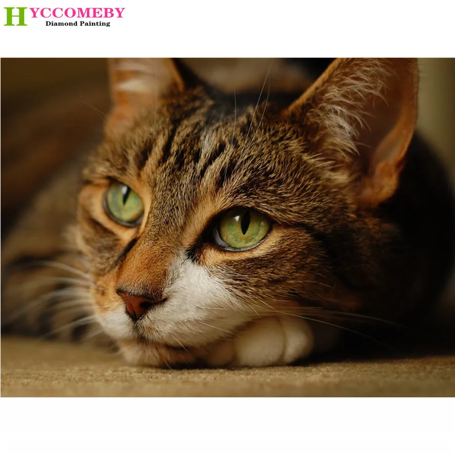 

5D DIY diamond painting cross stitch animal cats set full square diamond embroidery mosaic sewing home decoration gift