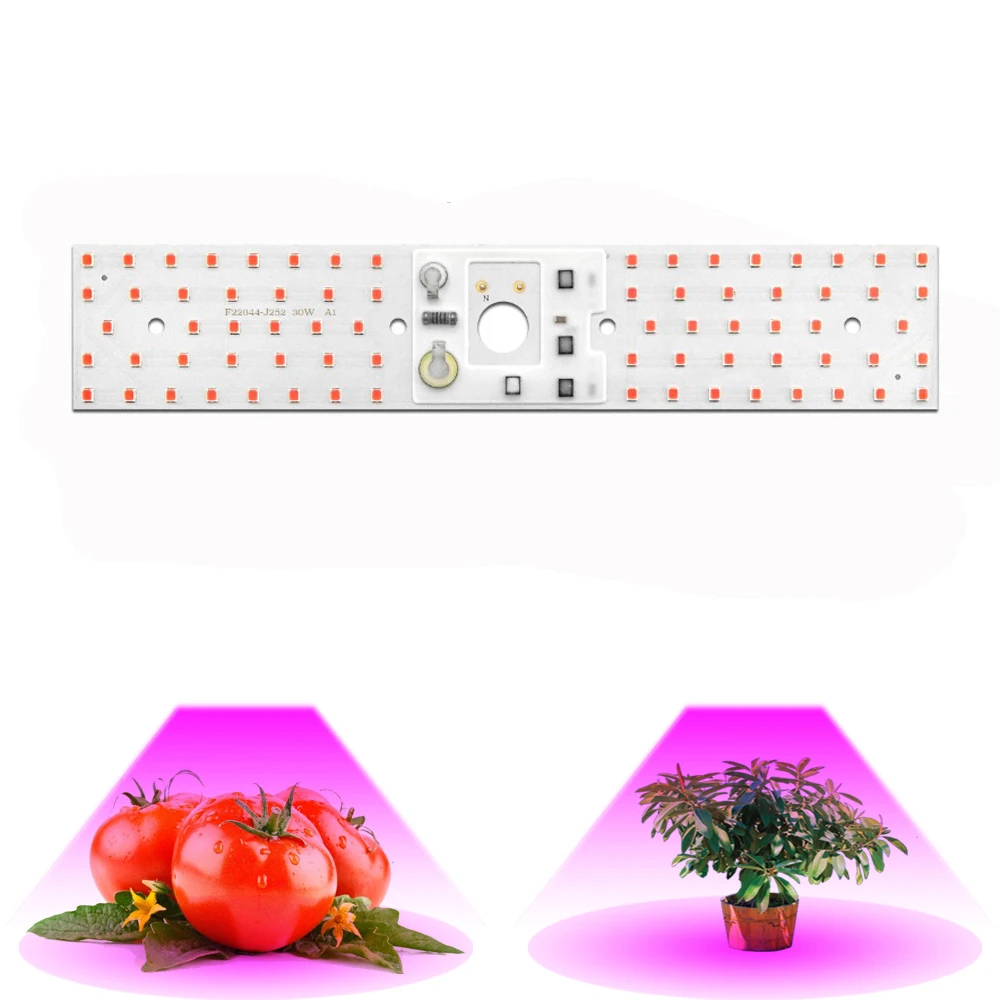 

Growth lamp 30W 50W LED SMD CHIP white full spectrum light beads for diy floodlight urban lighting indoor planting