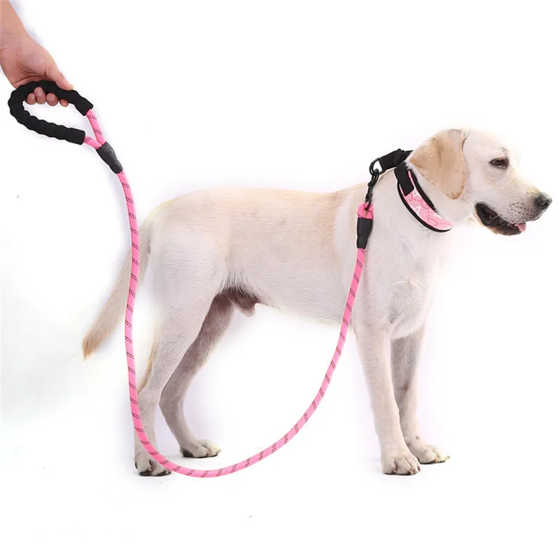 Strong Dog Leash 5 FT with Comfortable Padded Handle and Highly
