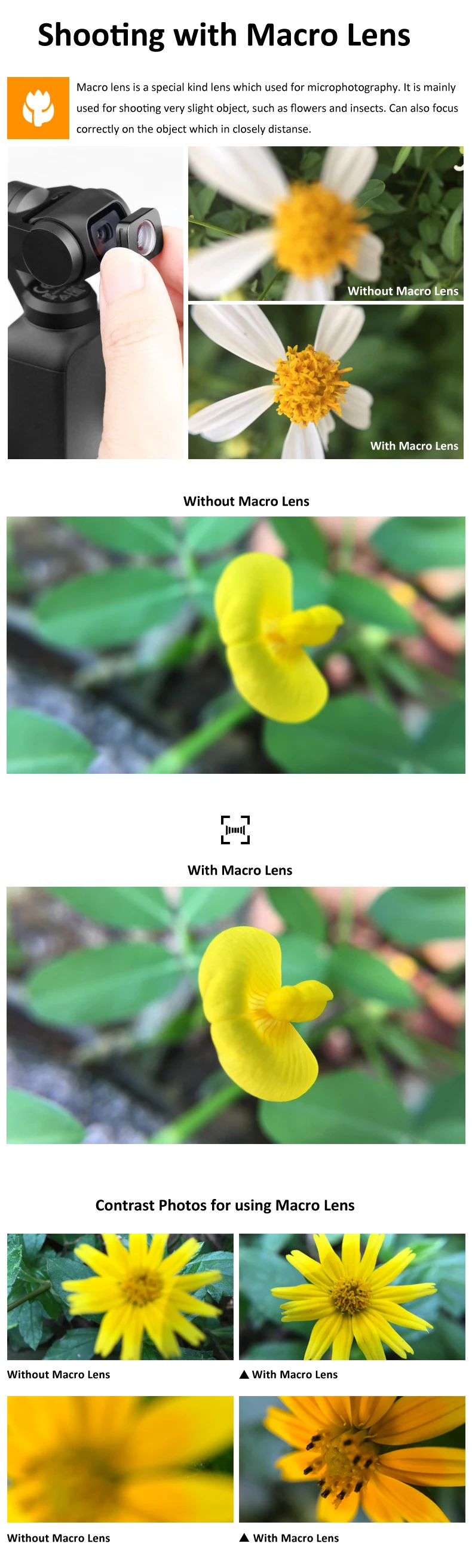 D3 macro
