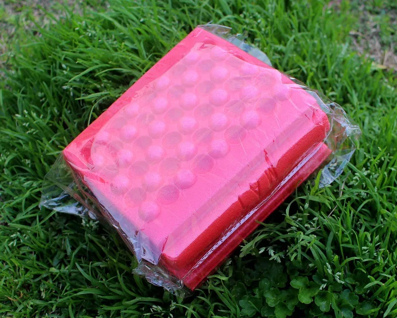 8622552299_219298811