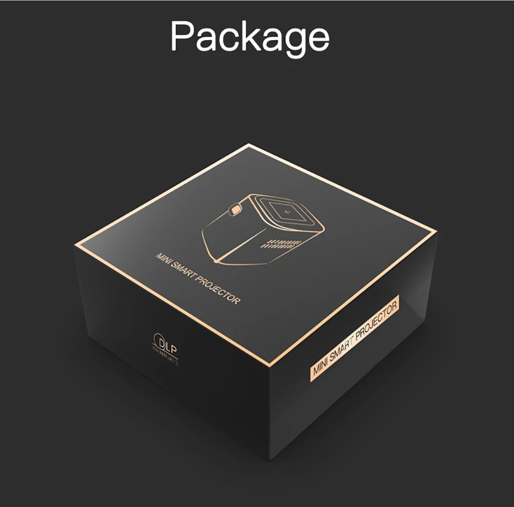 pico projector (16)