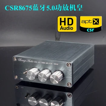

BL50A TPA3116 CSR8675 Bluetooth 5.0 Digital Power amplifier Support APTX 100W*2