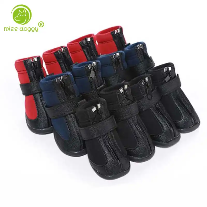 french bulldog snow boots