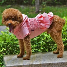 Luxury Winter Dog Coat Warm Princess Pet Dog Cat Dress Coat Pet Overalls Winter Dog Clothes Clothing for Small Dog Pet XS-XXL