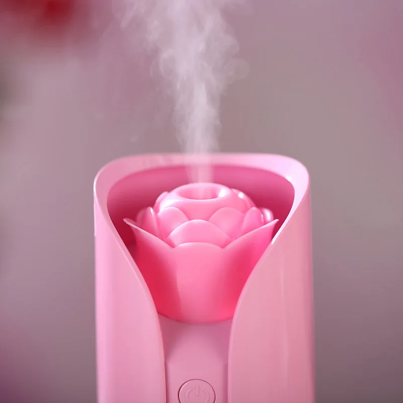 facial steamer7