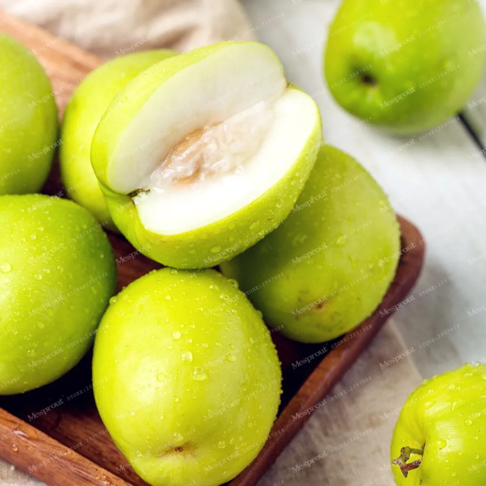 jujube seeds for sale