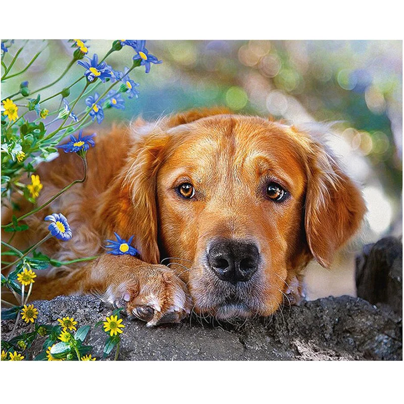 5D Mosaic DIY Diamond Painting Diamond Mosaic Labrador dog Cross Stitch