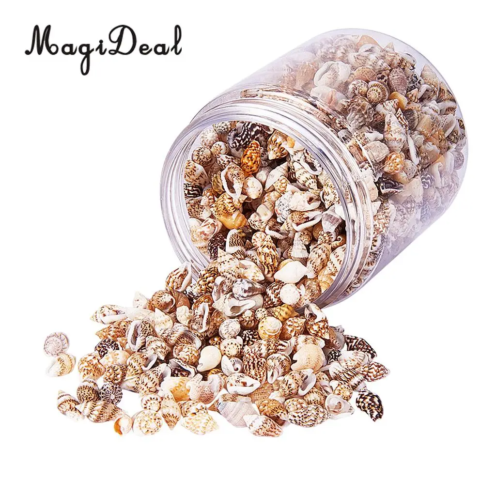 2 Box Multi Sea Shells Natural Conch Shells Beach Seashells, Colorful Assorted Accents for Candle Making Home Decorations