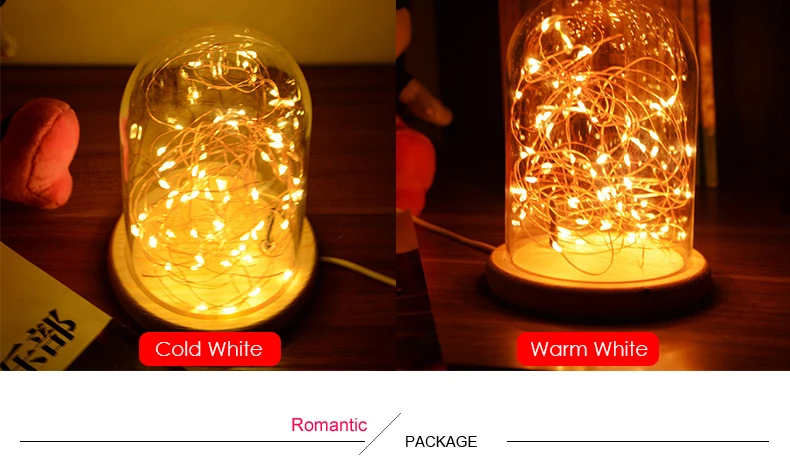Romantic LED Night Light Copper Wire Lights USB Charging Firework Glass Table Lamp Led String Night Light (9)