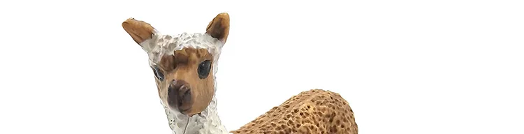 -10--DW-M-MY89-114-120_57