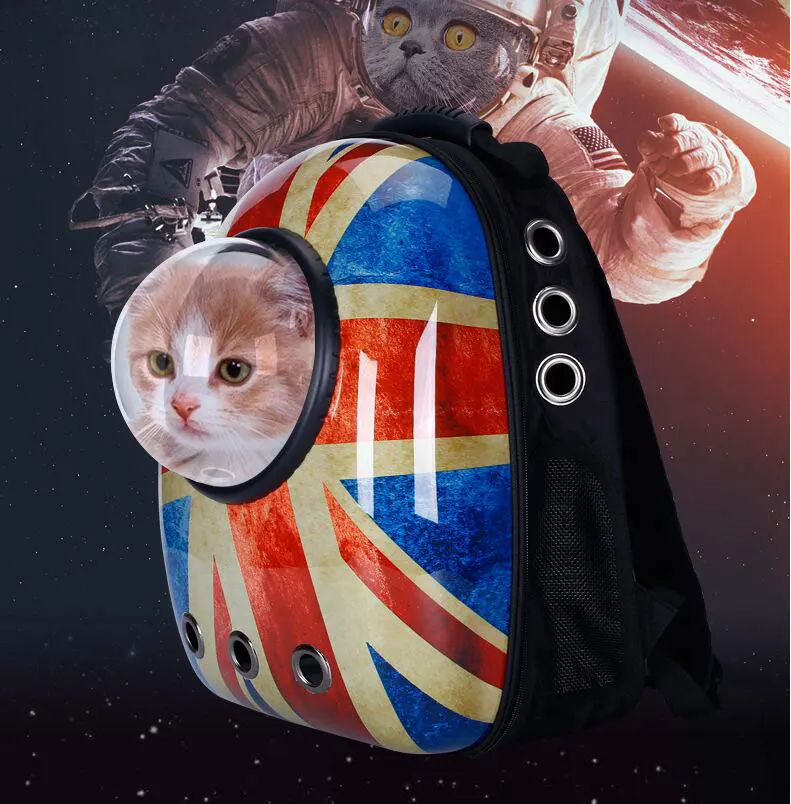 3123