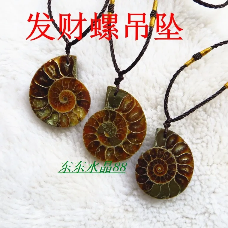 

10pcs High quality natural stone fossil pendant pendulum Fossil seashells slice pendants Green twine chakra pendule suspension