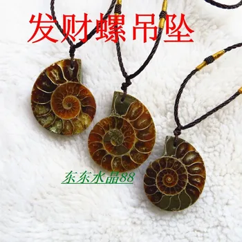 

10pcs High quality natural stone fossil pendant pendulum Fossil seashells slice pendants Green twine chakra pendule suspension
