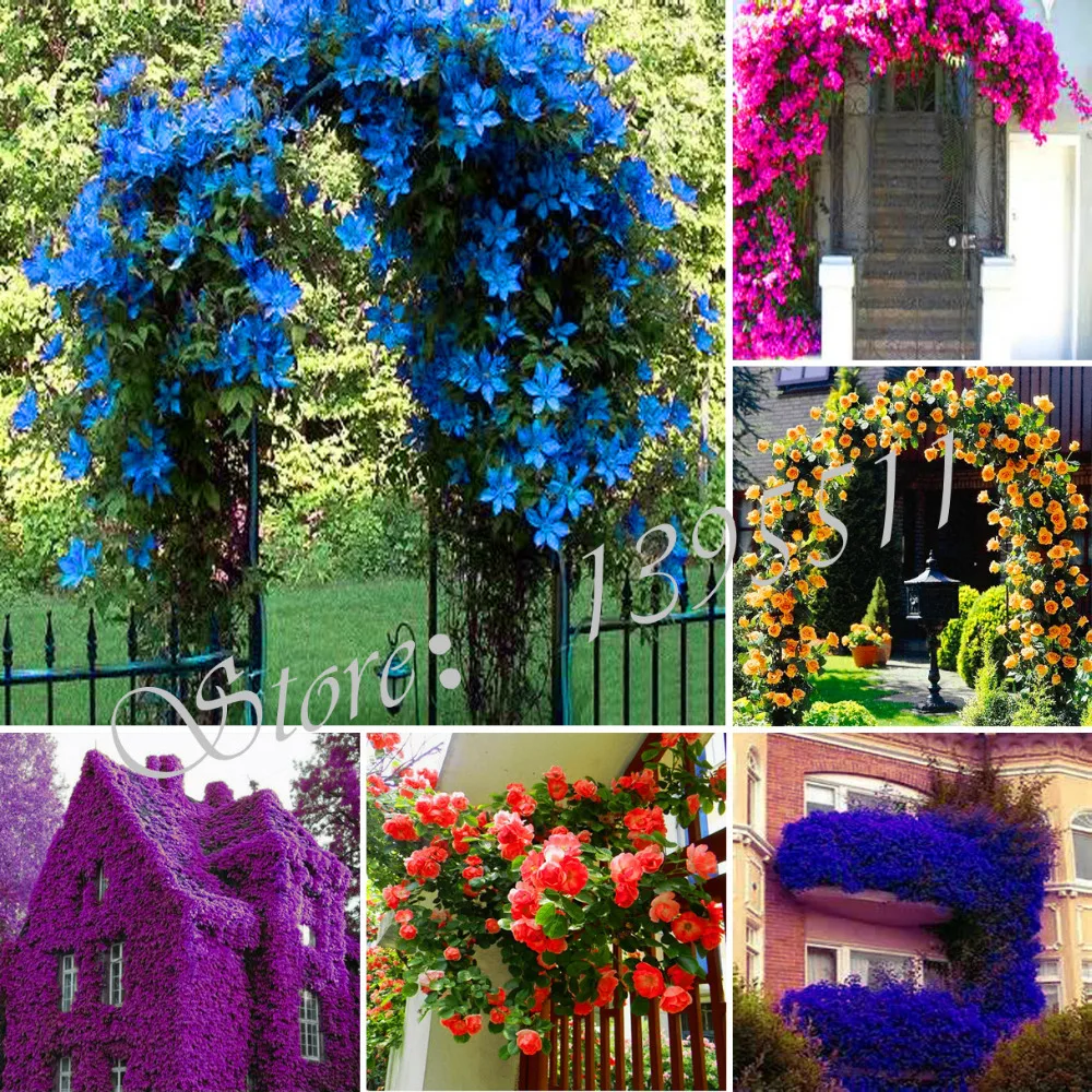 Online Buy Wholesale artificial climbing plants from China artificial