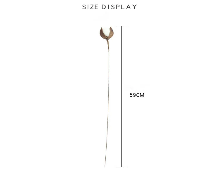 HTB1juKNcy6guuRkSnb4q6zu4XXaX