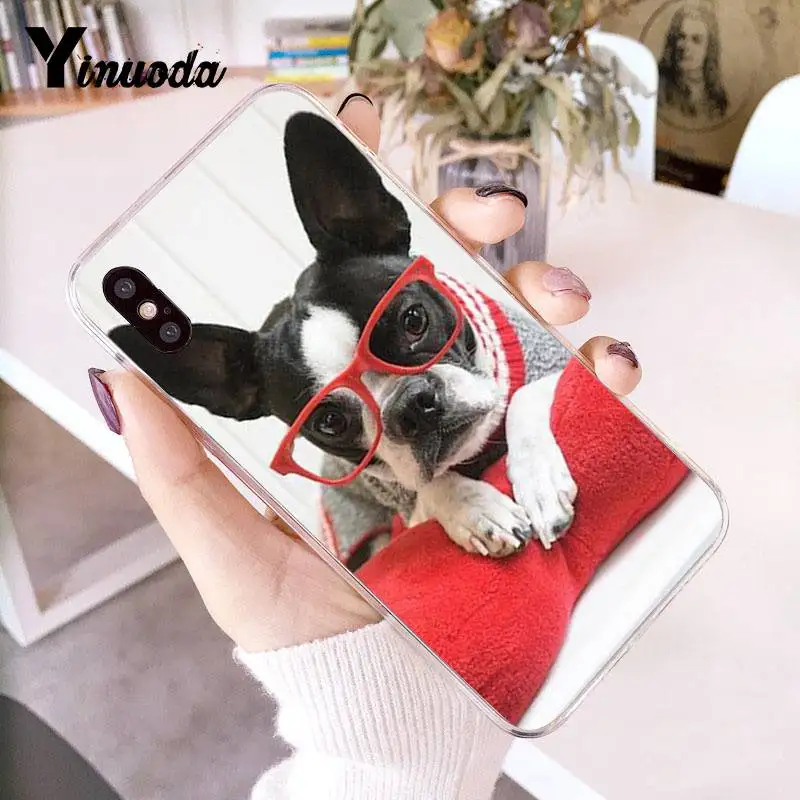 Прозрачный чехол для телефона Yinuoda Animal boston terrier dog iPhone 8 7 6 6S Plus X 5 5S SE XR XS XSMAX11 11pro