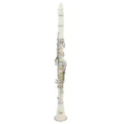 SLADE кларнет ABS 17 ключ bB ровное сопрано бинокулярный кларнет с смазка для пробки очистки тканевые перчатки 10 Тростников отвертка Reed
