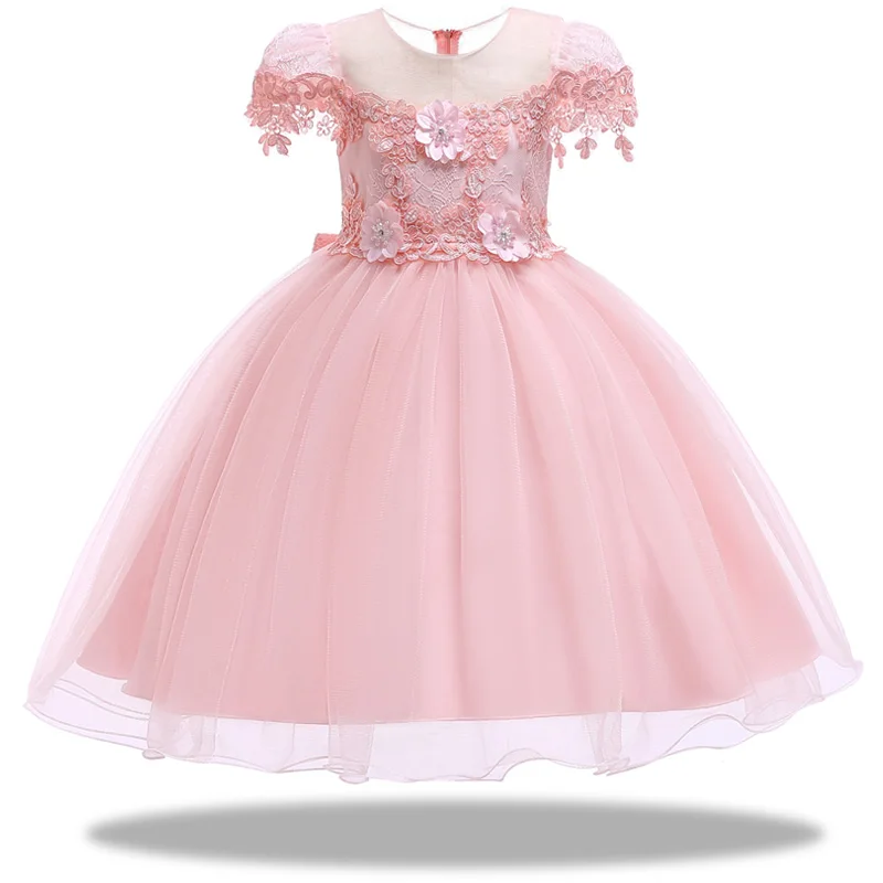 Baby Girl Princess Dresses Embroidery Kids Clothes Wedding Dress For Birthday Party Kids Toddler Clothing Children Custumes